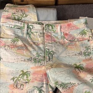 Talbots Flawless High Waist Jegging Crop 5 Pocket Beach Scene Denim 6